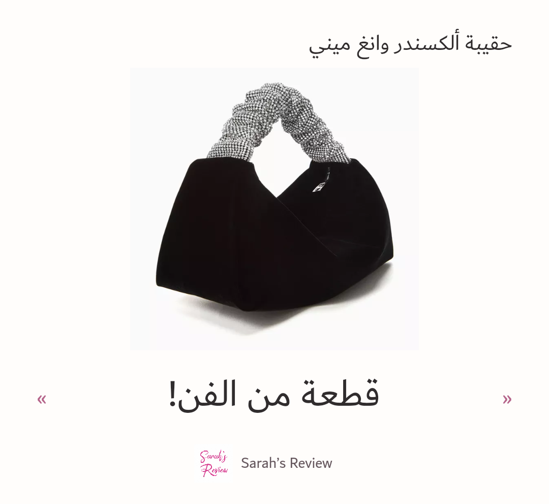 صورة 3 للمنتج حقيبة ألكسندر وانغ ميني