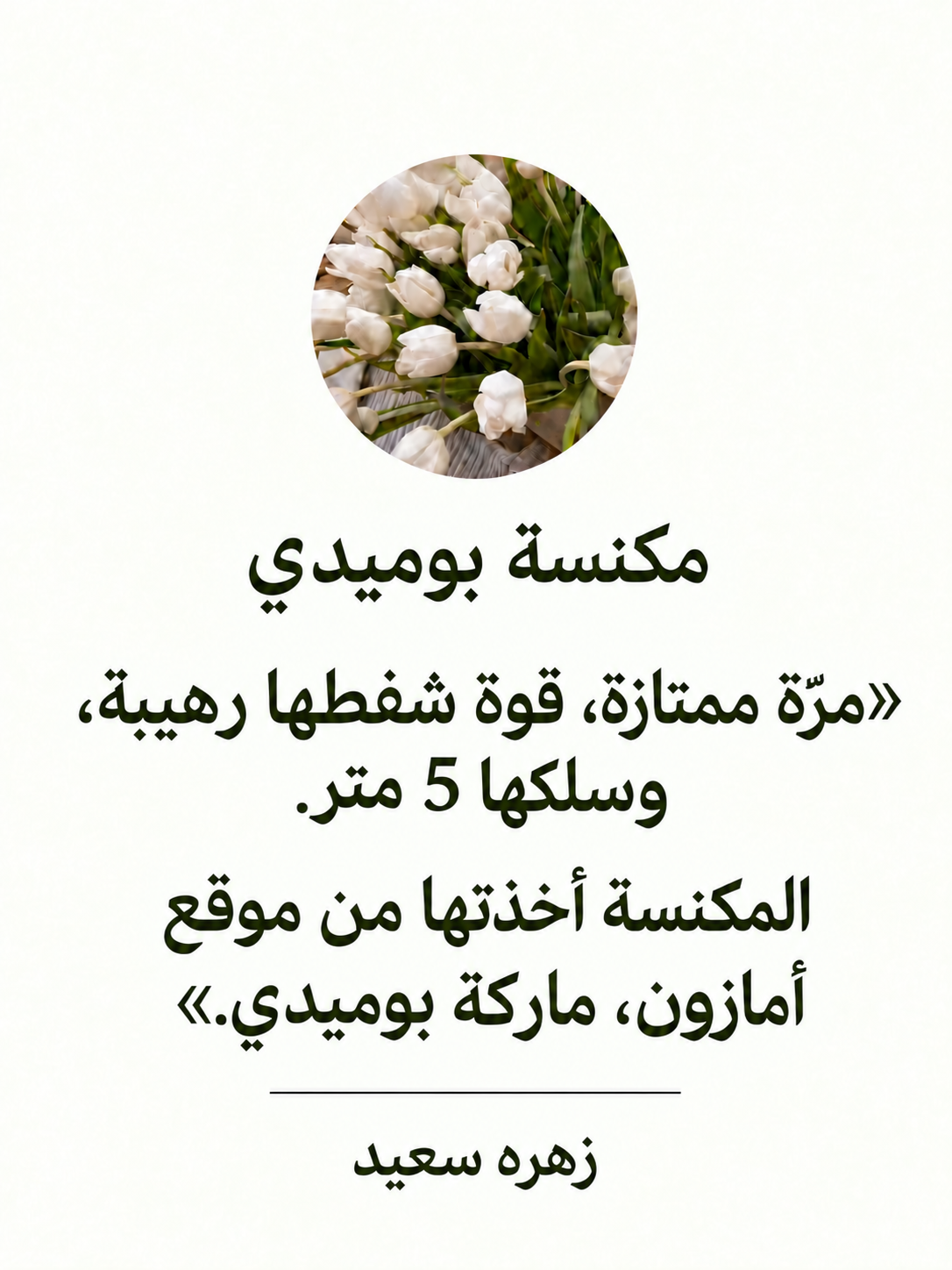 صورة 2 للمنتج مكنسة بوميدي S9 السلكية
