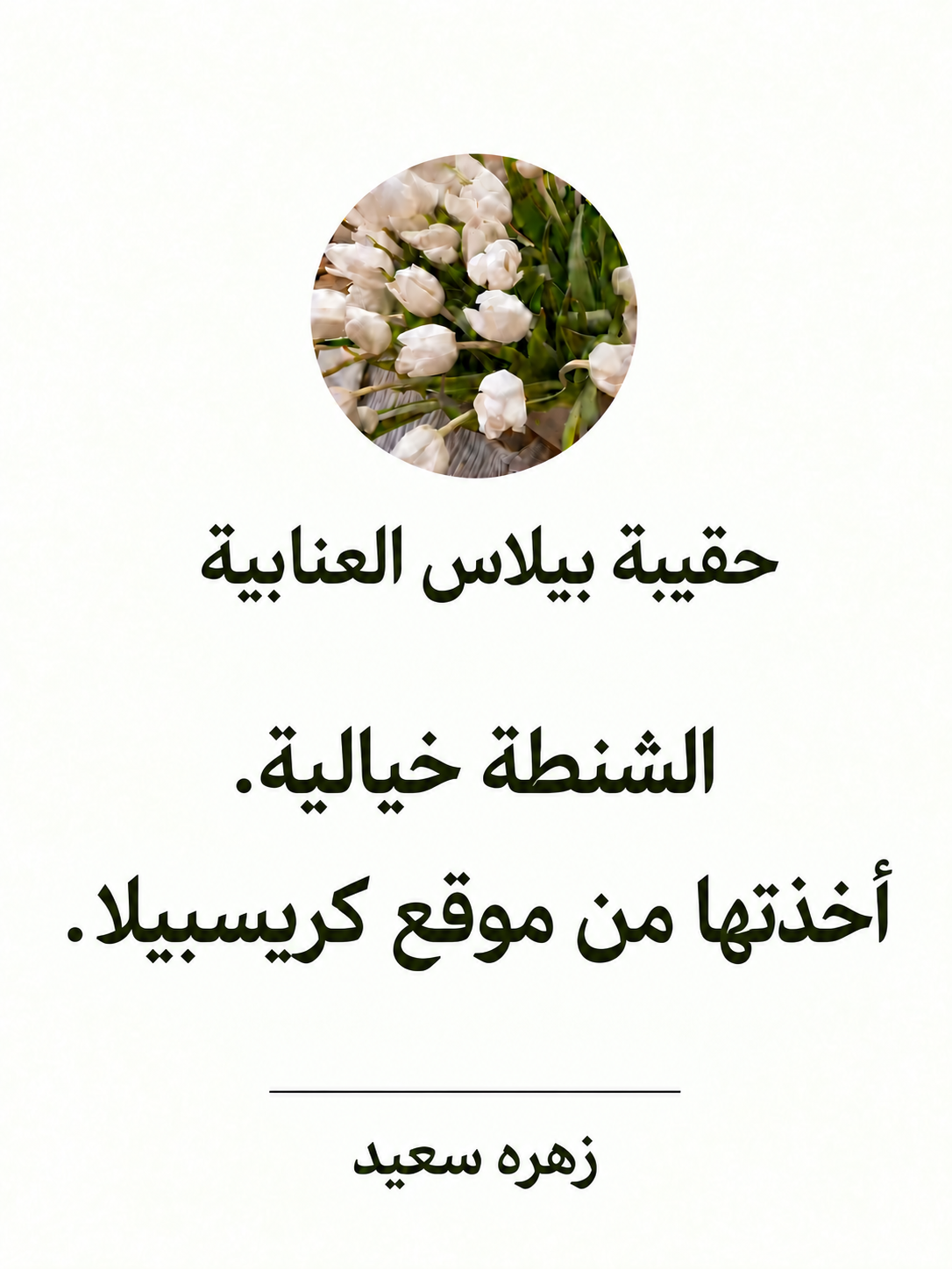 صورة 3 للمنتج حقيبة بيلاس العنابية